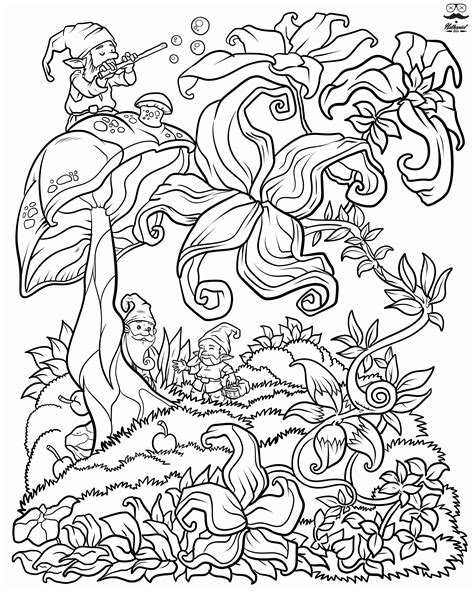 Adult Coloring Book Fair Coloring Pages