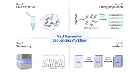 Next Generation Sequencing Ngs Definition Types