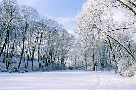 Kostenloses Foto Winter Schnee Landschaft Baum Kostenloses Bild