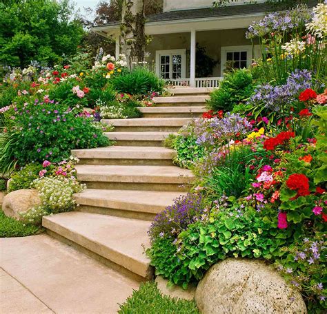 Planting On A Slope Better Homes And Gardens