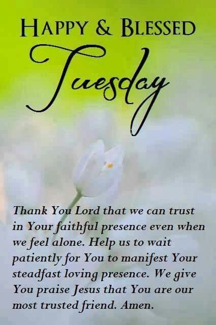 Happy And Blessed Tuesday Happy Tuesday Quotes Tuesday Quotes Good