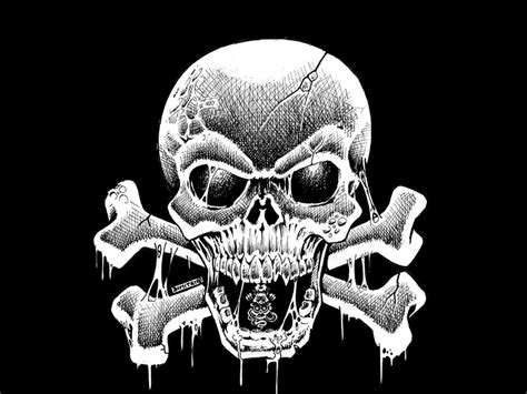 Skull Wallpaper And Background Image 1600x1200 Id110978