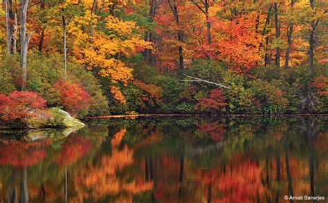 Fall Reflections Outdoor Photographer