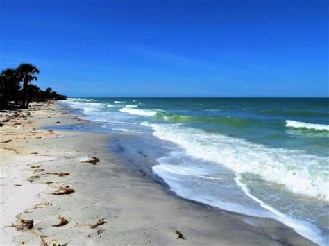 Caladesi Island State Park Dunedin All You Need To Know BEFORE You