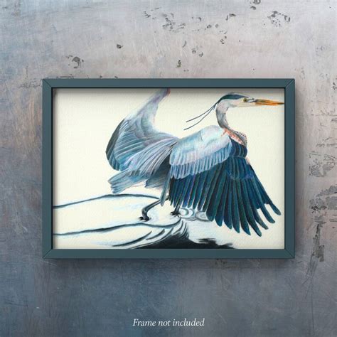 Great Blue Heron Colored Pencil Drawing Etsy