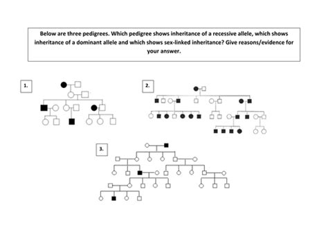 Questions you can even set it to show only new pedigree chart practice worksheet with answer key 05 punnett squares and pedigree chart practice sheet u2013 answer key these questions. A2 pedigree diagram analysis activity- genetics | Teaching ...