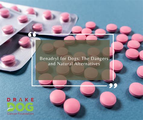 Alternatives To Benadryl For Dogs Drake Dog Cancer Foundation