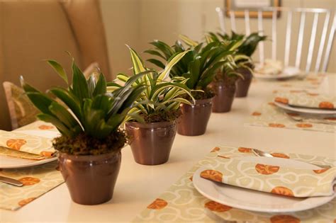 Growers don't seem to have the same problem with brown leaf tips while growing the plants. Stop your Corn Plant from Turning Brown on the Tips - P ...