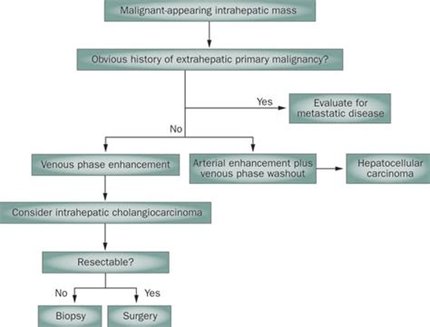 algorithm for the diagnosis and management of intrahepatic download scientific diagram