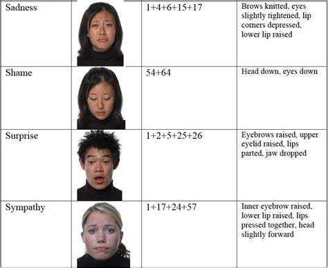 Understanding Multimodal Emotional Expressions Recent