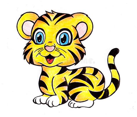 Hand Drawn Royal Bengal Tiger Cub Stock Illustration Illustration Of
