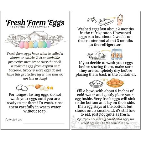 Amazon Com Havongki 100pcs Premium Fresh Farm Eggs Handling Care