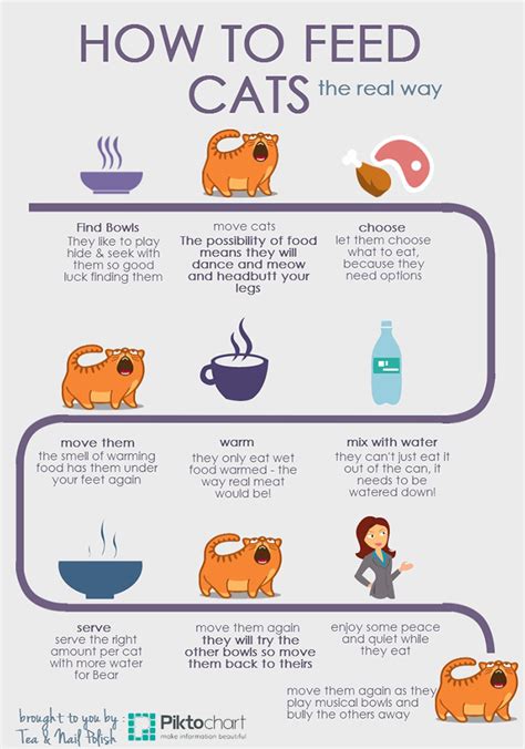 Check spelling or type a new query. How To Feed Cats - The Real Way (Infographic) - Tea & Nail ...