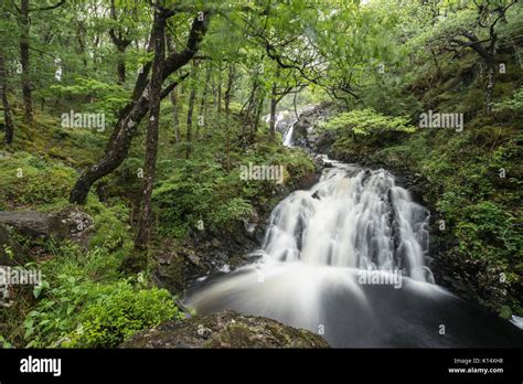Rhaeadr Ddu Waterfalls Ganllwydd Coed Ganllwydd National Nature Reserve Snowdonia National
