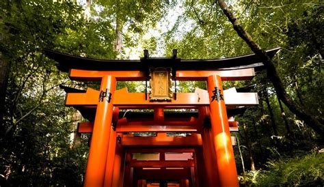 13 Best Torii Gates In Japan The Big The Famous And The Odd