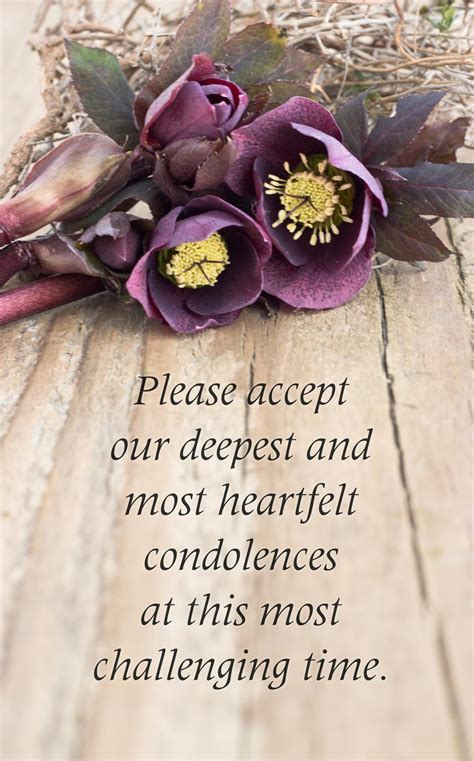 How To Wish Condolences Sympathy Card Messages How To Do It Right Thatsweett 15