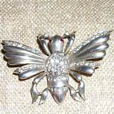 Pictures of Silver Bug