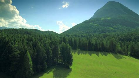 Beautiful Picturesque Nature Meadow Lush Evergreen Forest Austria Alps Scenery Green Grass