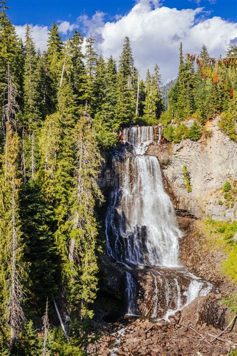 Alexander Falls Britisch Columbia Kanada Stockbild Bild Von Wald
