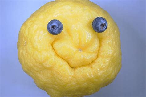 Happy Lemon Lemon Weird Holidays Lemonade Stand