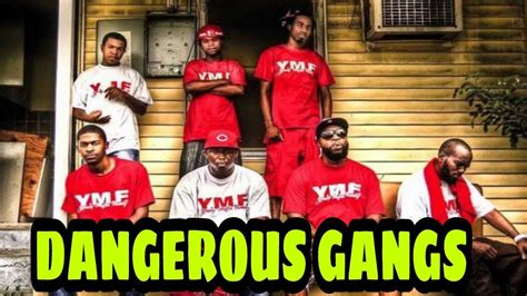 Top 10 Most Dangerous Gangs In The World Youtube