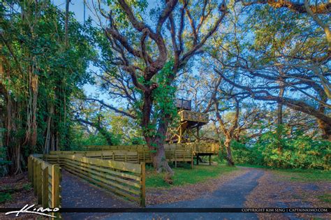 Tree Tops Park Davie Florida Broward County Park Hdr Photography By