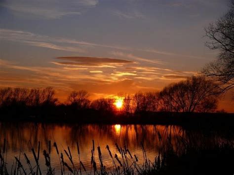 Sunset At The Pond Sunset Pond Sunsets Photos Of Fish Fish Ponds