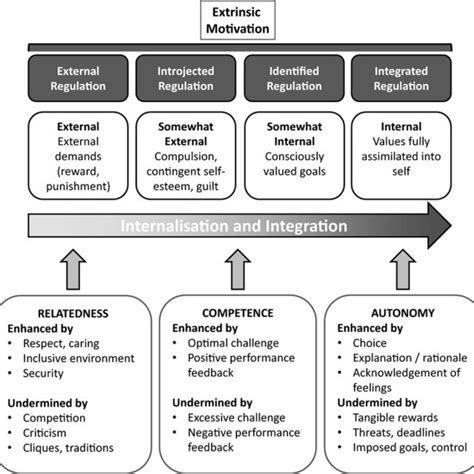 Self Determination Theory Examples 21 Self 2022 10 21