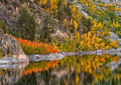 Lake Sabrina Fall Colors Eastern Sierra California Usa