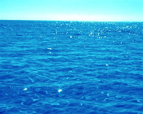 Calm Sea Water Surface Stock Footage Video 393019 Shutterstock