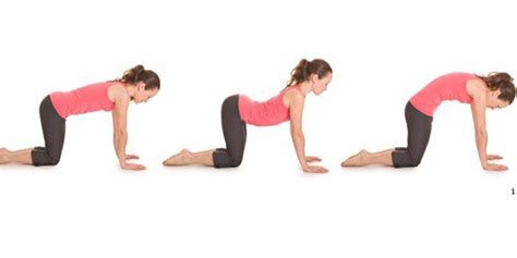 The cat camel stretch is designed to simply bringing motion into my spine, specifically in my lumbar spine. 10 best morning exercises to help you keep fit - Kenyan Moves