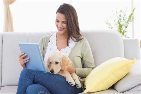 7 Tips For Hiring The Perfect Dog Sitter