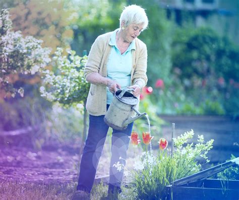 Gardening For Older Adults Inplace Care