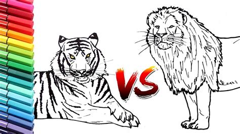 Looking for a way to draw an easy lion for kids? How to Draw Lion Vs Tiger Wild Animals Color pages for ...