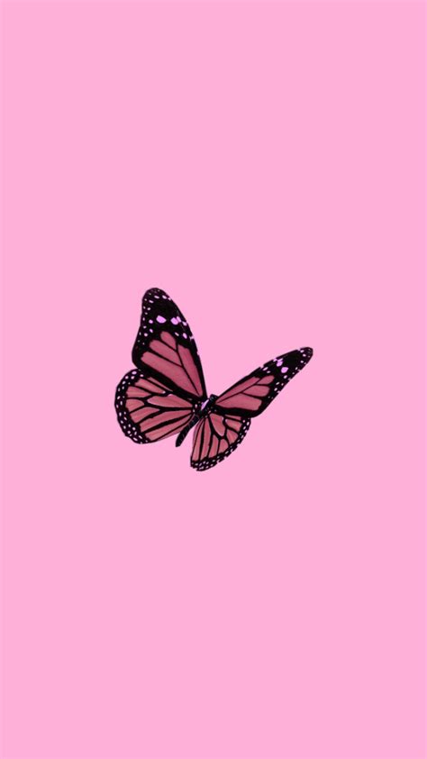 Aesthetic Butterfly Wallpapers Wallpaper Cave