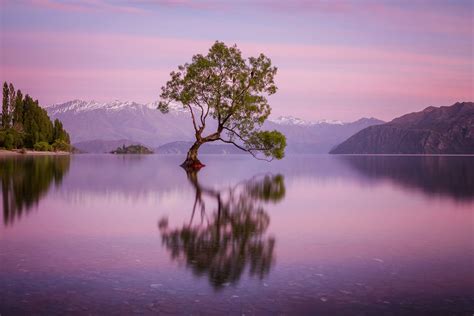 The shoulder seasons offer great value and fewer crowds. Wanaka, Wanaka, New Zealand - Spring in New Zealand? Just ...