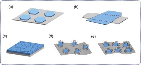 A Schematic Illustration Of The Heterostructure Prepared By Vapor