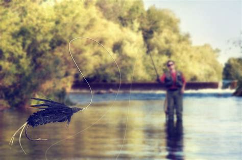 Fly Fishing For Beginners In Casting Begin Fly Fishing Easily