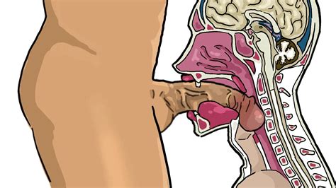 Throat Anatomy Uvula Diagram My Xxx Hot Girl
