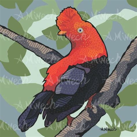 Andean Cock Of The Rock X Print Tropical Bird Etsy