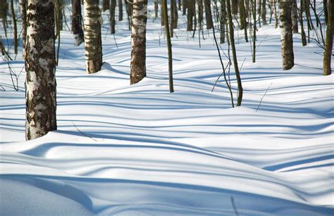 Snow And Shadows Free Photo Download Freeimages