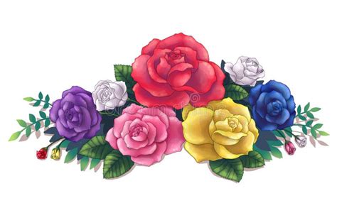 Colorful Roses Bouquet Illustration Art Stock Illustration
