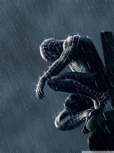 Spider Man In The Rain Ultra Hd Desktop Background