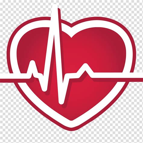 Illustration Of Cardiovascular System Royalty Free Svg Cliparts Clip
