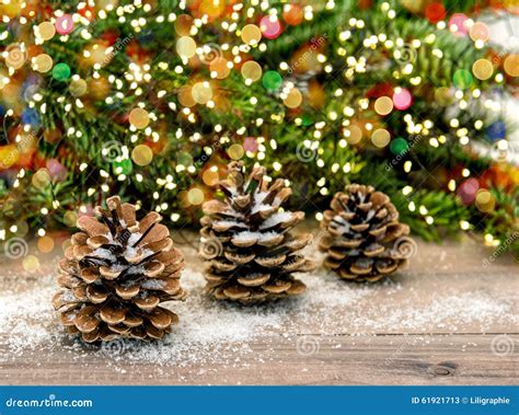 Pine Cone And Christmas Tree Branches Color Lights Decoration Stock