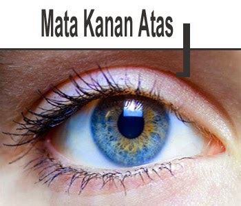 Apabila seseorang mengalami kedutan pada kelopak mata kanan atas, konon akan mendapatkan keberuntungan besar dari bisnis yang sedang anda salah satu pertanda baik berikutnya apabila seseorang mengalami kedutan pada ekor mata kanan atas. 4 Arti Kedutan Mata Berdasarkan Bagiannya | Arti Kedutan