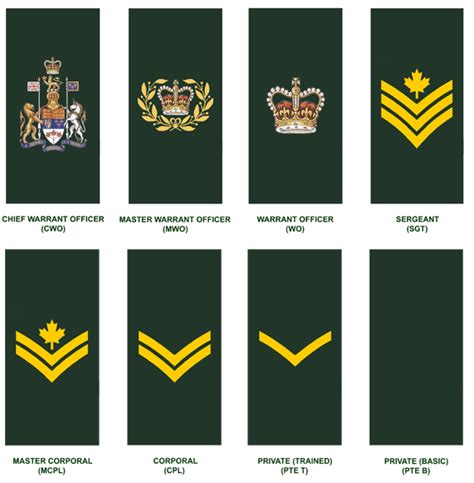 Canadian Army Rank Insignia Chart
