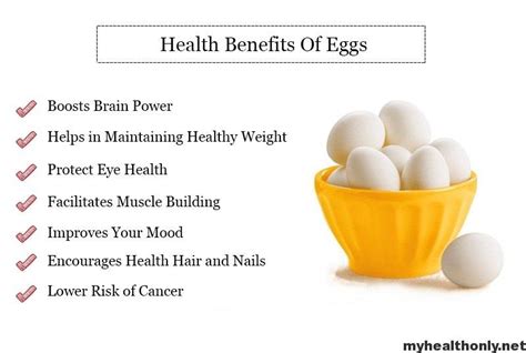 Know About Marvellous Benefits Of Eggs My Health Only