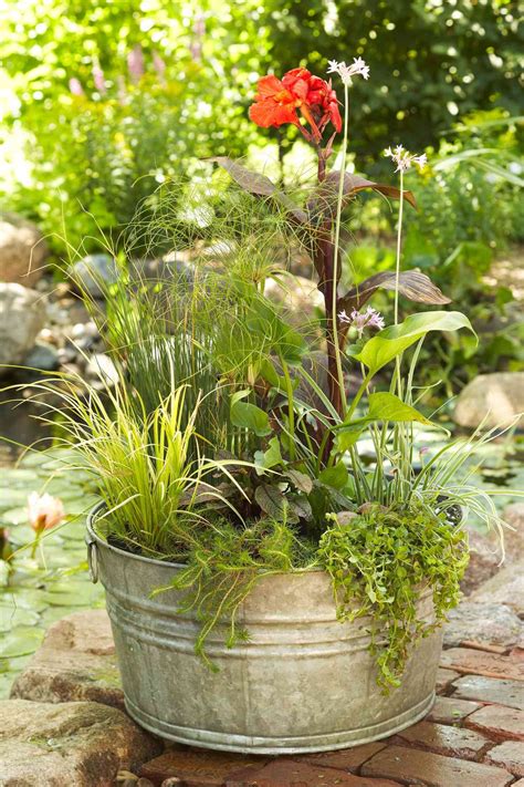 Water Container Garden Better Homes And Gardens