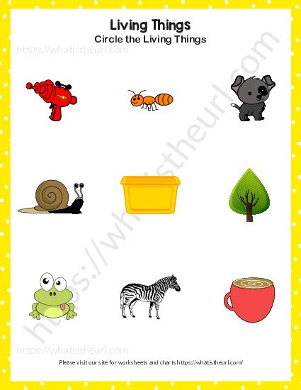 Find And Circle Living Things Exercise 2 Your Home Teacher